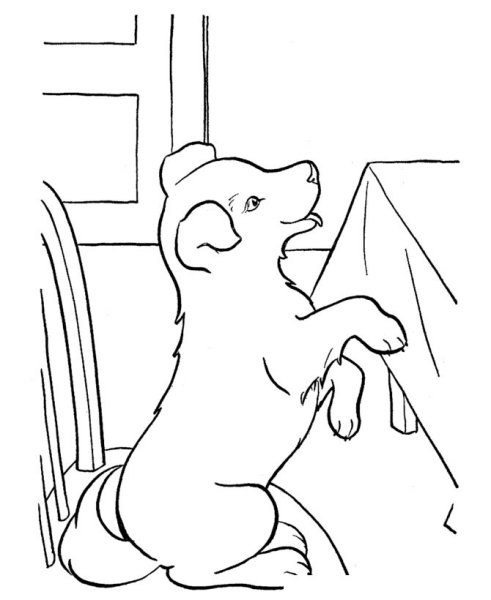 Каштанка раскраска