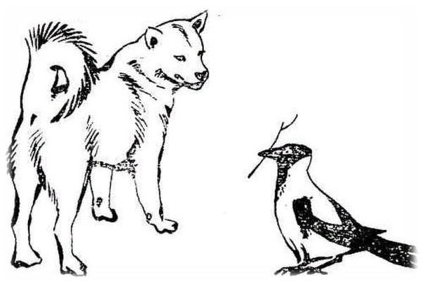 Иллюстрация к произведению Пришвина выскочка