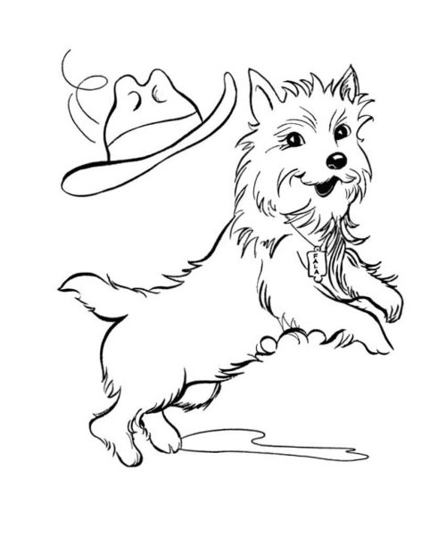 Раскраска собака маленькая