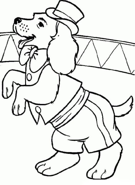 Цирковая собачка раскраска