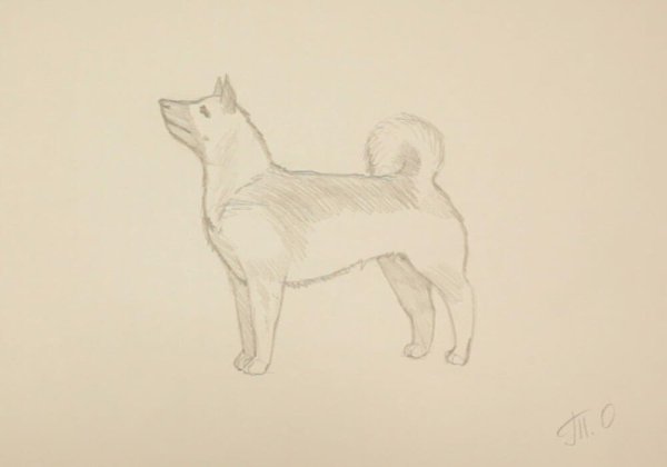 Легкий рисунок собаки каштанки