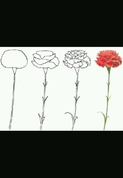 Рисунок гвоздики пошагово