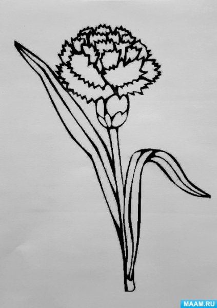 Нарисовать гвоздику