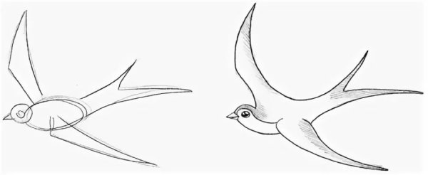 Нарисовать ласточку карандашом
