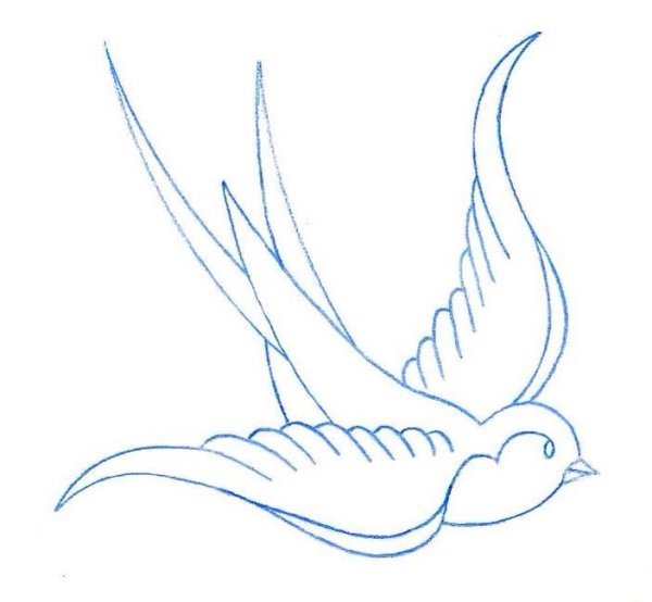 Стриж раскраска