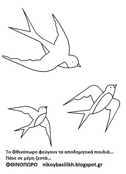 Ласточка контурный рисунок