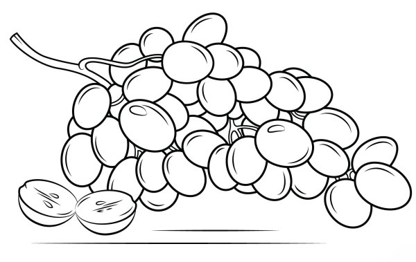 Поэтапное рисование винограда
