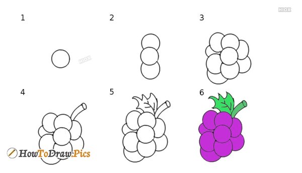 Виноград раскраска