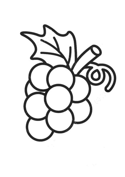 Поэтапное рисование винограда