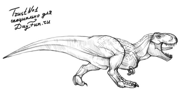 Трицератопс карандашом