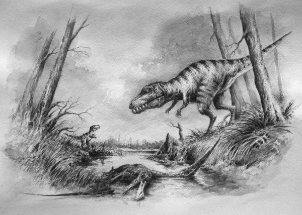 Tyrannosaurus Rex цветными карандашами