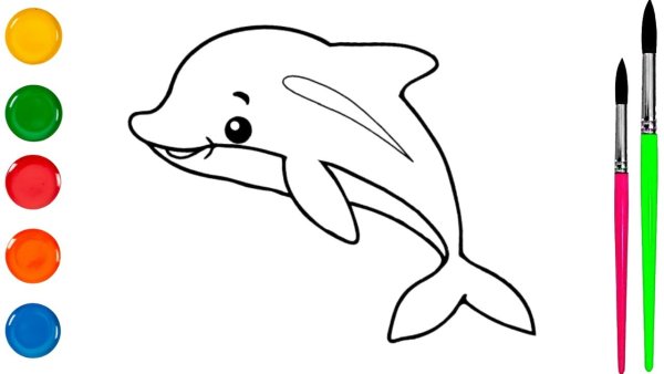Дельфин картинки раскраски