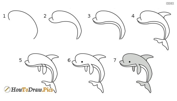Дельфин рисунок карандашом