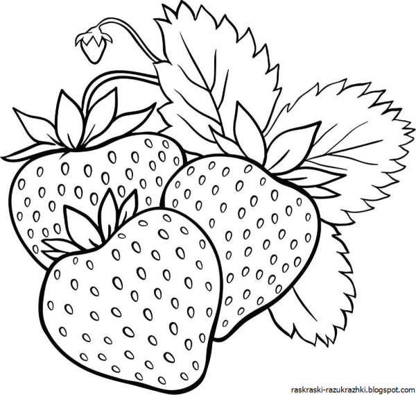 Клубника раскраска для детей
