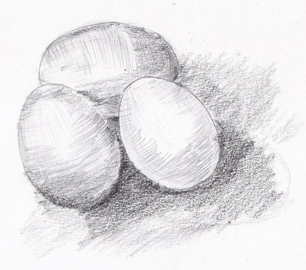 Яйцо карандашом