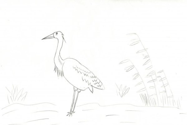 Журавлик рисунок карандашом
