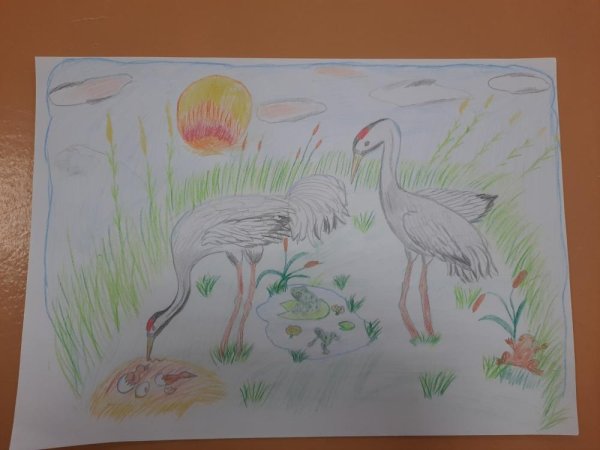 Рисование журавль старшая группа перелетные