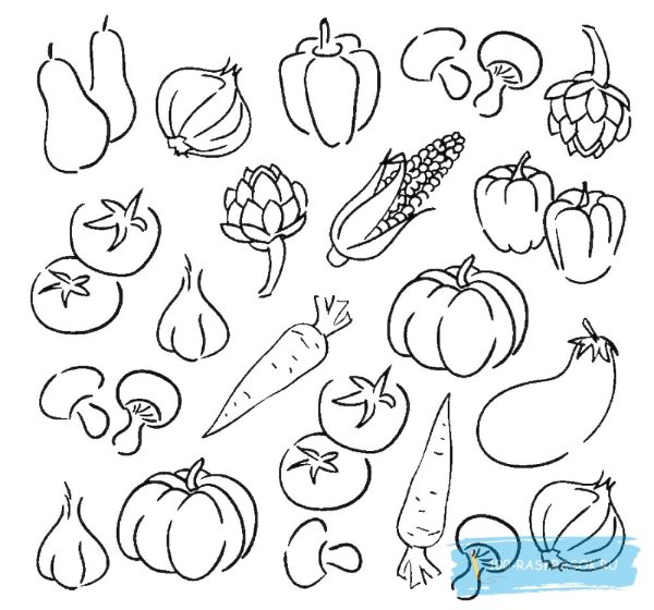 Овощи картинки для детей