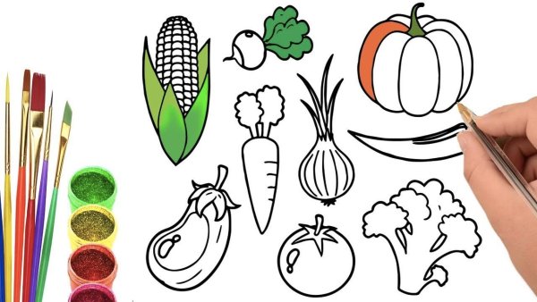 Дары осени раскраски для детей