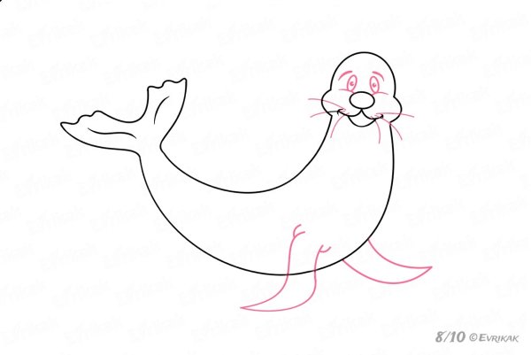 Рисование морского котика для детей