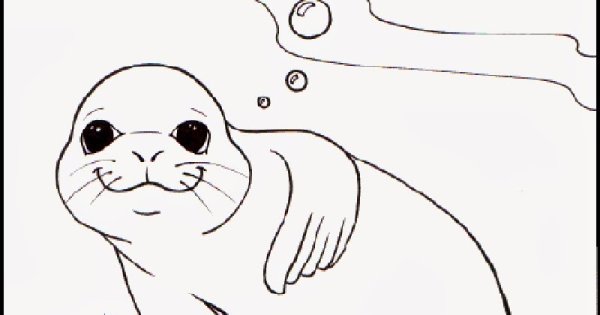 Детские раскраски нерпенка