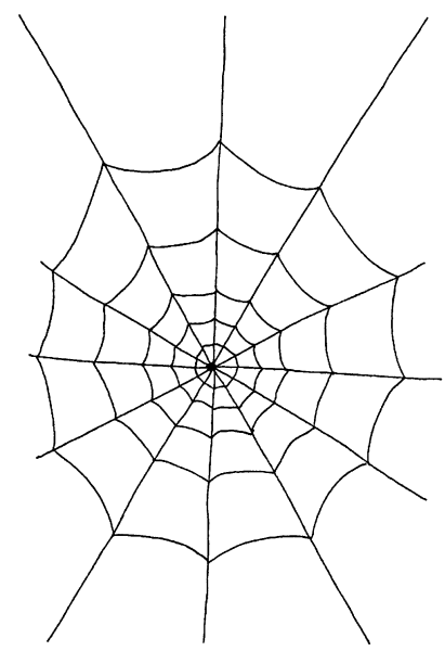 Паутина раскраска