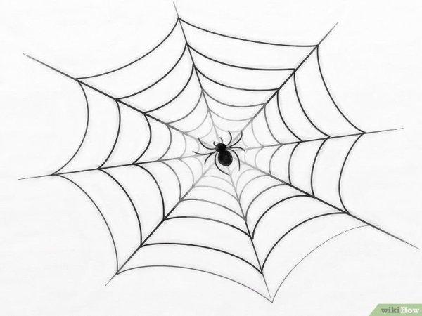 Паутина рисунок карандашом