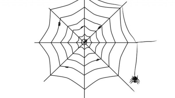 Рисование паутины с паучком