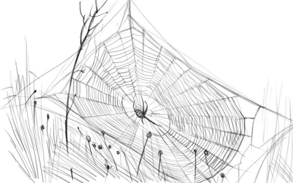 Паутина для детей для Хэллоуина