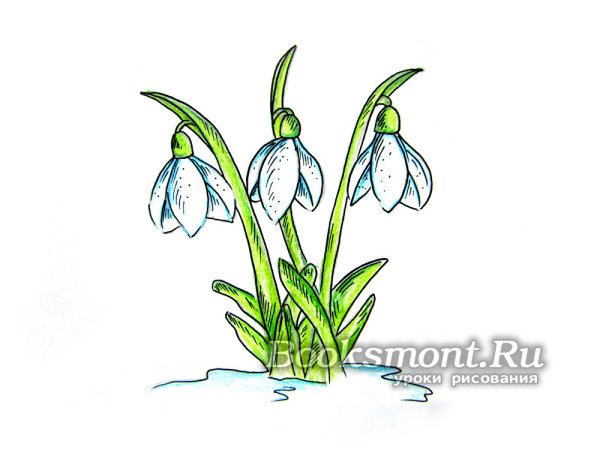 Рисование подснежники