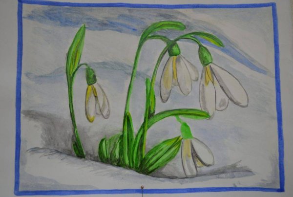 Рисование первых весенних цветов