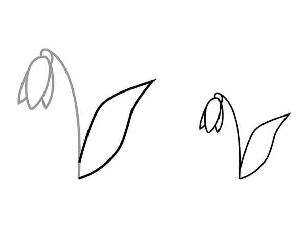 Поэтапное рисование подснежника