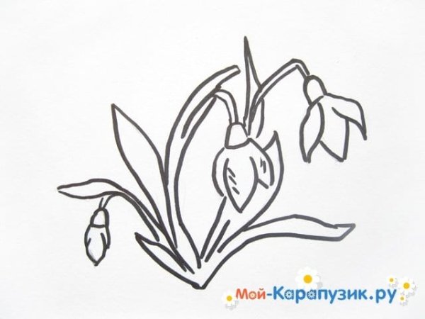 Подснежник карандашом для детей