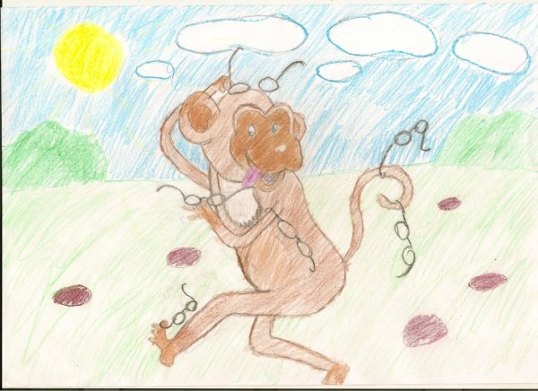 Мартышка и очки мультфильм