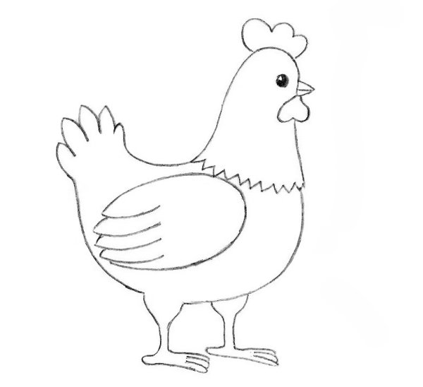 Рисунок курицы для срисовки