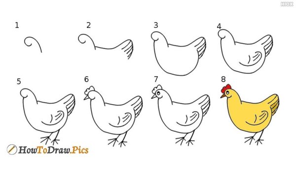 Нарисовать курицу поэтапно