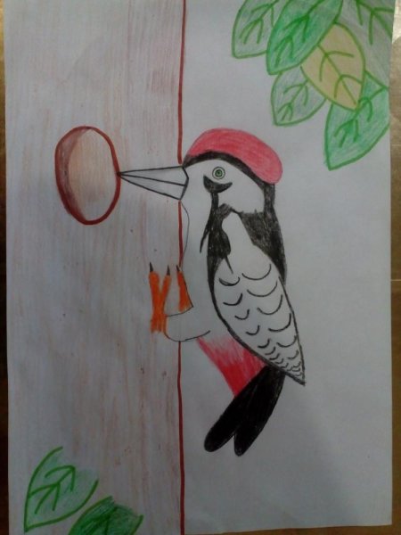 Аппликация дятел