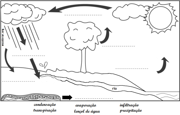 Круговорот воды в природе карточки для детей