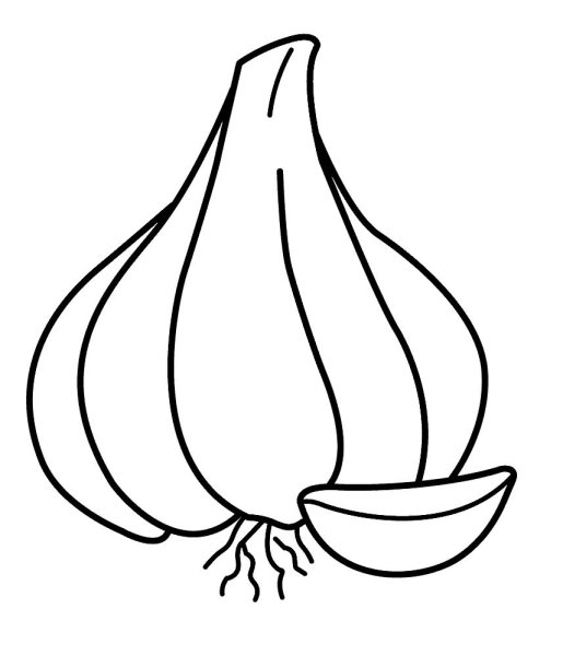 Чеснок раскраска