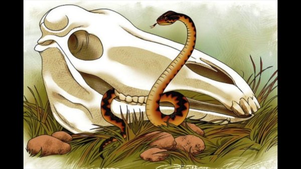 Череп коня со змеей Вещий Олег