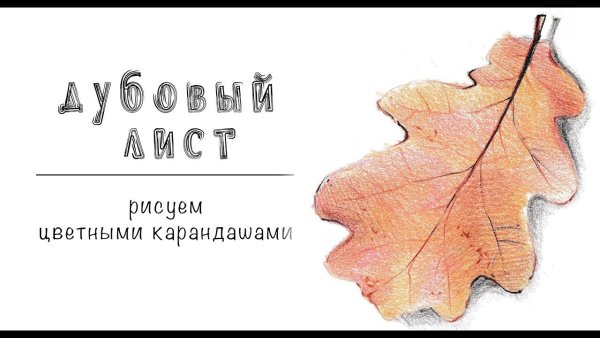 Дубовый лист цветными карандашами