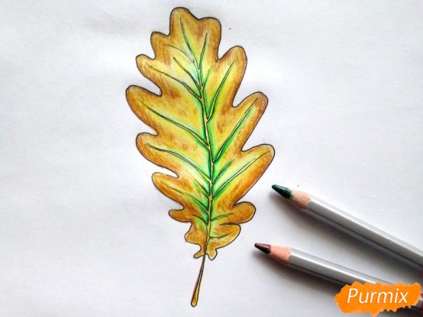 Рисуем лист дуба