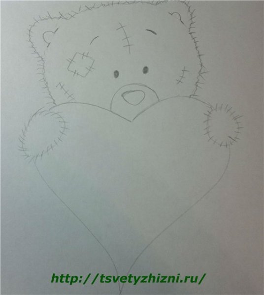 Мишка Тедди с сердечком рисунок