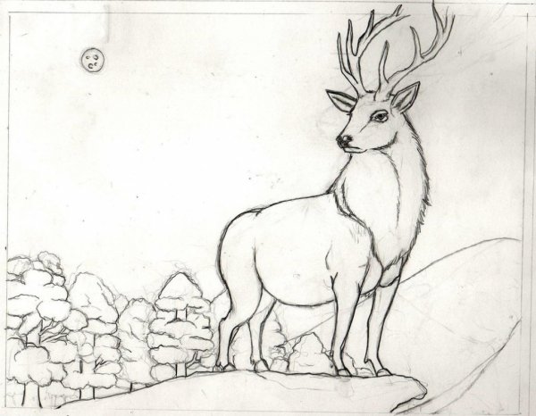 Олень для срисовки карандашом