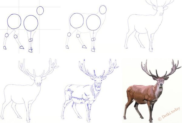 Нарисованный красивый Северный олень