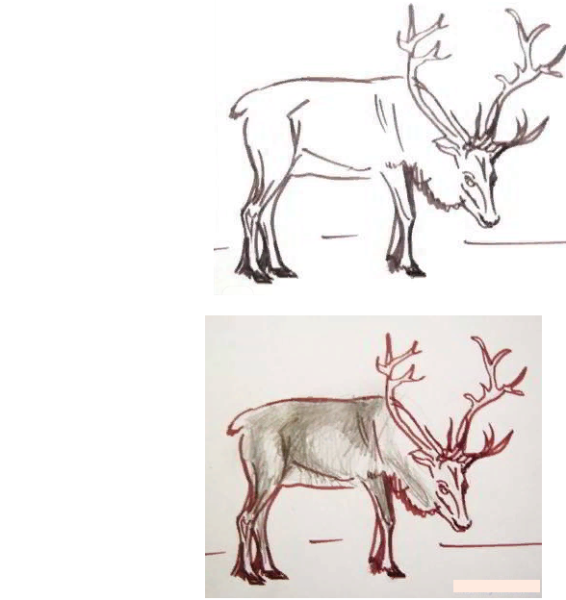 Референс Рогов оленя