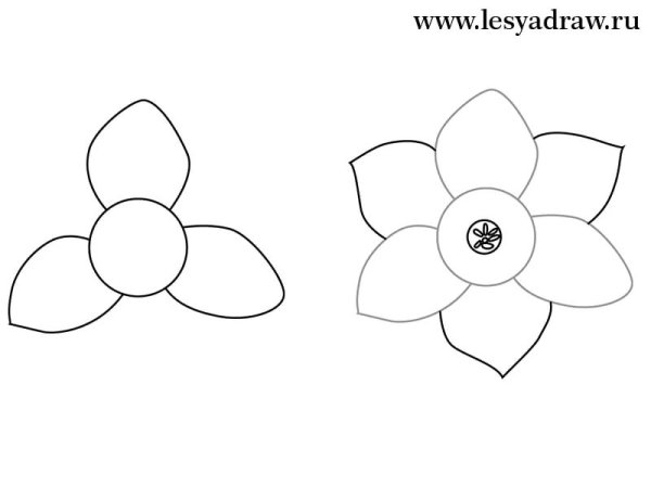 Цветочек карандашом лёгкий