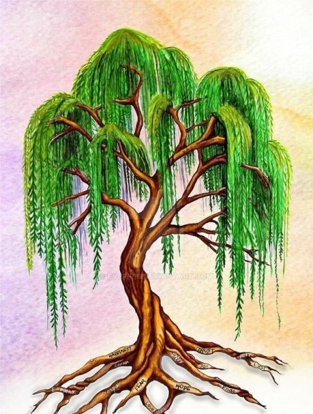 Плакучая Ива тату