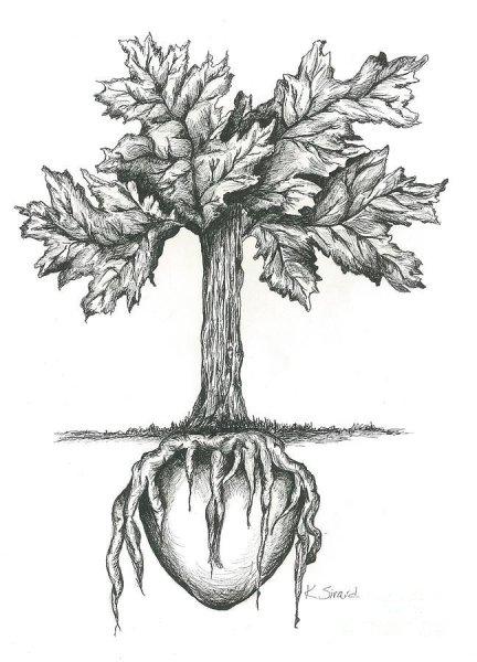 Дуб тату эскиз