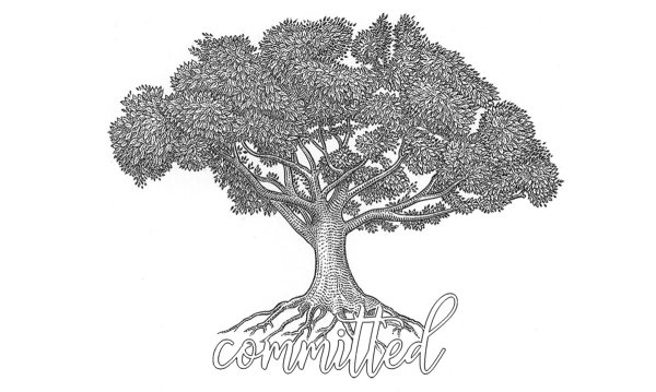 Корни дерева